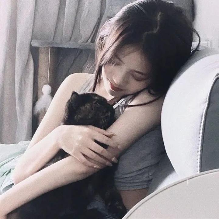 代号火箭炮海报